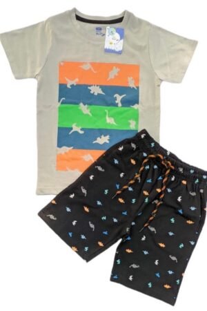 Dinosaurs print t shirt and short set ( 5 to 6 year )