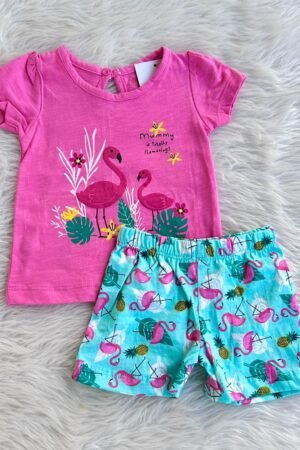 Flamingo Girls t shirt set
